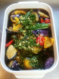 彩り豊かな夏野菜の煮びたし-レシピのメイン写真