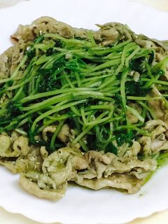 豚肉と豆苗のジェノベーゼ-レシピのメイン写真