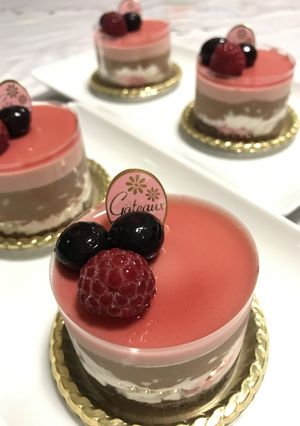 フランボワーズ＆ショコラムースケーキ-レシピのメイン写真