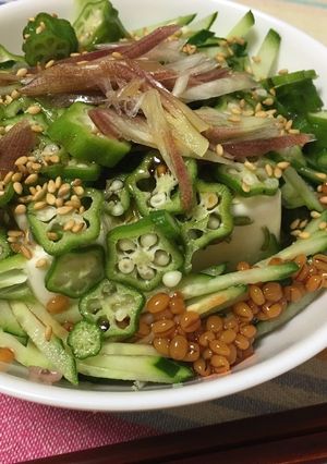 夏の豆腐丼-レシピのメイン写真