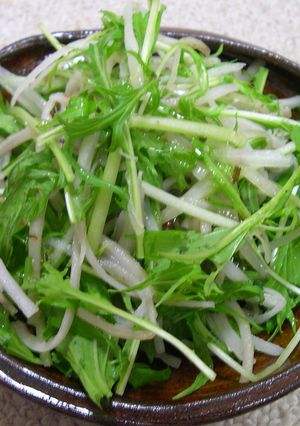 ごぼうと水菜のイタリアンサラダ-レシピのメイン写真