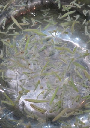 生じゅんさい　下処理-レシピのメイン写真