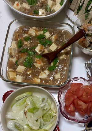 在庫の調味料de簡単麻婆豆腐-レシピのメイン写真