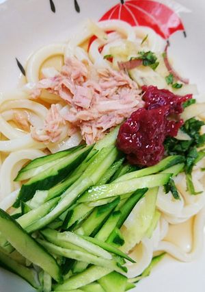 さっぱりヘルシー冷やしうどん-レシピのメイン写真