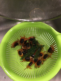 サワガニの素揚げ-レシピのメイン写真