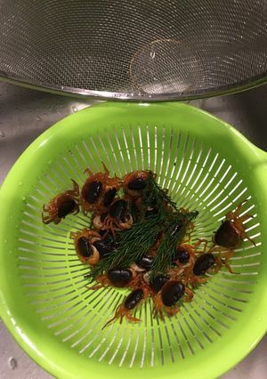 サワガニの素揚げ-レシピのメイン写真