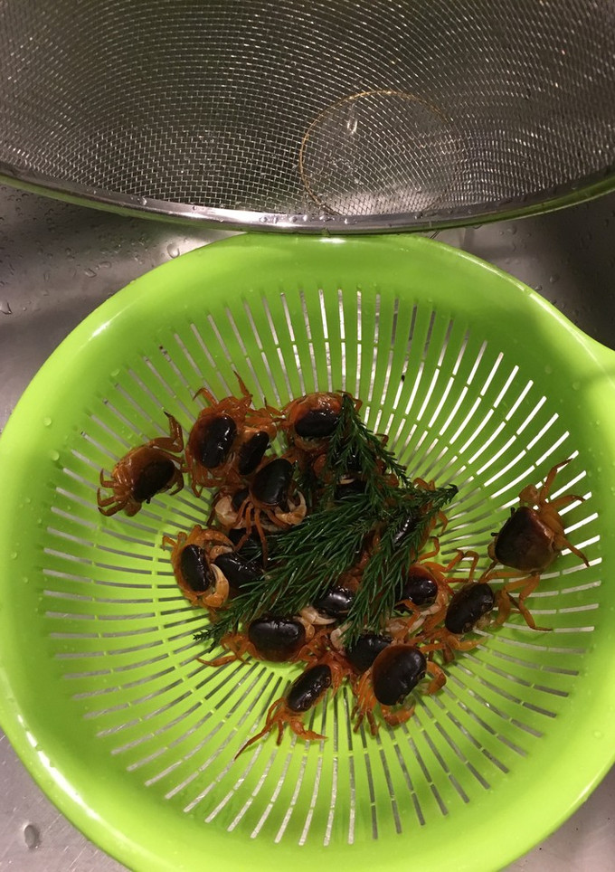 サワガニの素揚げ-レシピのメイン写真