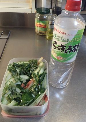 結構イケる！きゅうりのラッキョウ酢漬け-レシピのメイン写真