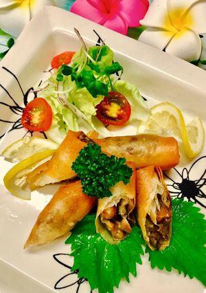鶏肉とナスの炒め物春巻き巻き-レシピのメイン写真