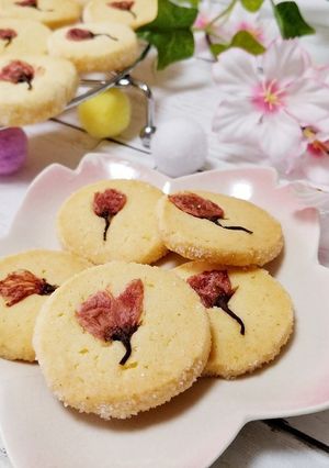サクサク桜サブレ-レシピのメイン写真