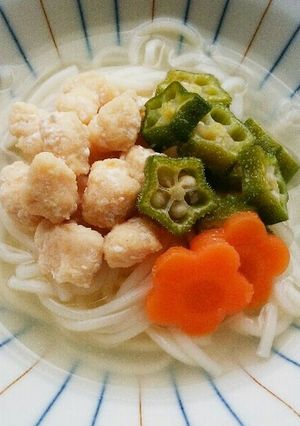 犬ご飯　たいパラ冷や麦-レシピのメイン写真