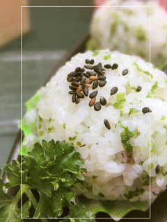 パセリに赤紫蘇、昆布茶のおにぎり-レシピのメイン写真