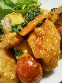鶏胸肉と厚揚げのオイマヨカレーソース炒め-レシピのメイン写真