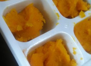 レンジで簡単離乳食初期☆かぼちゃペースト-レシピのメイン写真