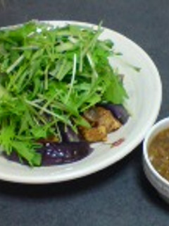 ねぎドレでお肉と野菜をもりもり食べよう♪-レシピのメイン写真