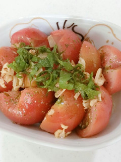 簡単すぎるトマトサラダ★パスタにも!-レシピのメイン写真