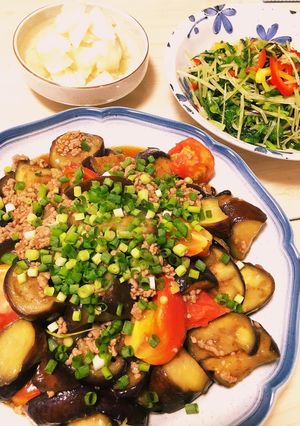 夏っ！ナスとトマトのひき肉オイポン炒め-レシピのメイン写真