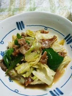 長ねぎたっぷり!豚肉キャベツの味噌炒め☆-レシピのメイン写真