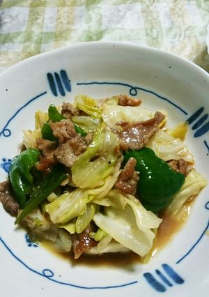 長ねぎたっぷり!豚肉キャベツの味噌炒め☆-レシピのメイン写真