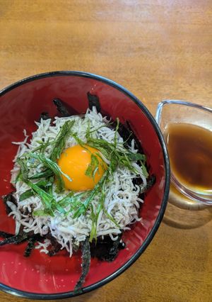 コストコの釜揚げしらす丼-レシピのメイン写真