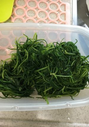 おかひじきのカラシあえ-レシピのメイン写真