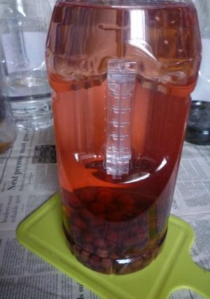 今年のやまもも酒の仕込み-レシピのメイン写真