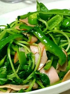 ピーマンと豆苗のさっと中華炒め♥簡単☆-レシピのメイン写真