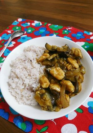 たっぷり茄子と鶏ササミのカレー-レシピのメイン写真