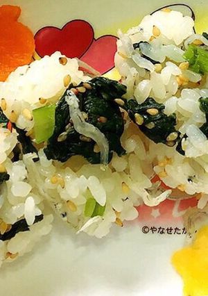 栄養満点☆しらす菜飯-レシピのメイン写真