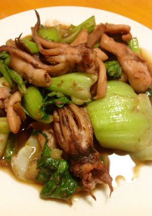 イカと青梗菜の生姜醤油炒め-レシピのメイン写真