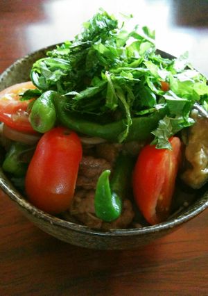 夏野菜たっぷりあっさり牛丼-レシピのメイン写真