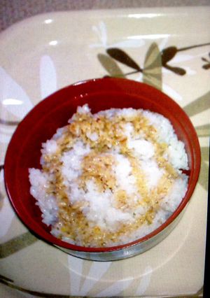 うな丼(鰻無し)-レシピのメイン写真