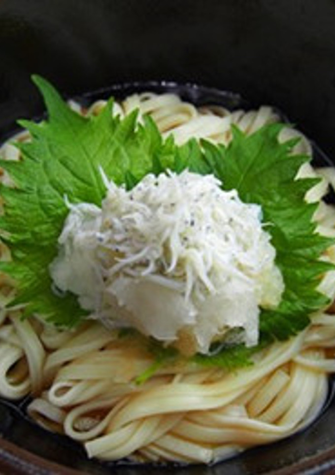 大根おろしとしらすでさっぱりざるうどん-レシピのメイン写真