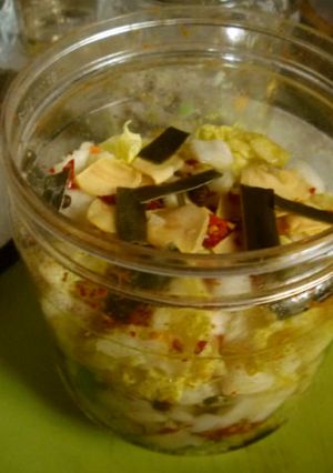自家製刻み白菜漬けを作ってみる・昆布版-レシピのメイン写真