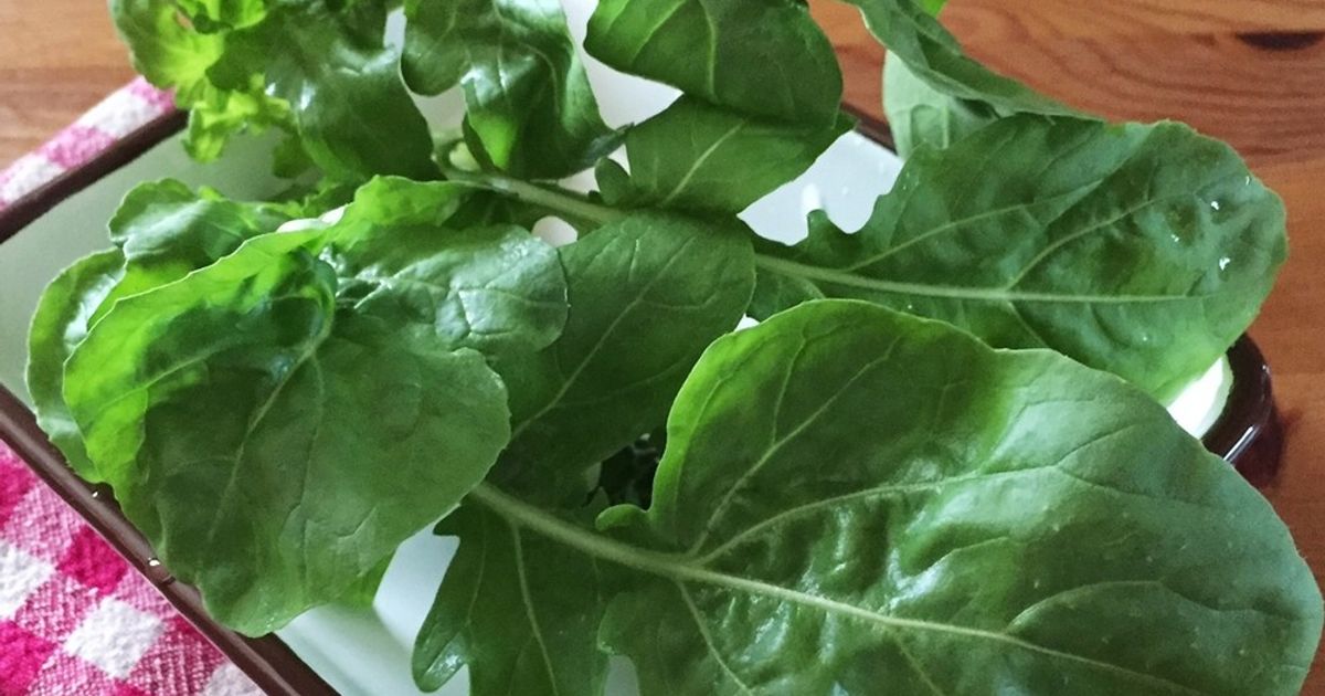 しおれルッコラ復活 方法 by まじゅじゅ 【クックパッド】 簡単