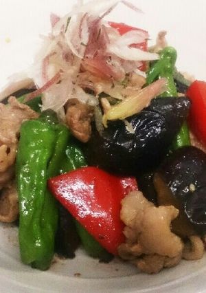 なすと豚肉☆夏野菜☆スタミナ炒め-レシピのメイン写真