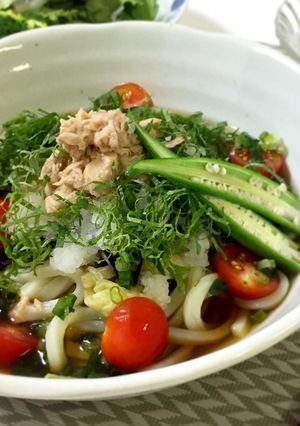 ✲茄子とツナの冷たいおうどん✲-レシピのメイン写真