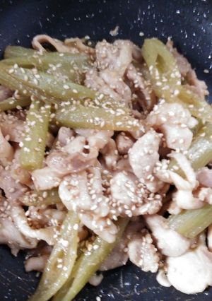お手軽～鶏肉の炒め物～ジンギスカンのタレ-レシピのメイン写真