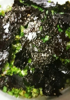 超ズボラだけど美味しい。ネギ海苔丼-レシピのメイン写真
