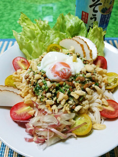 オクラ納豆ネバネバ素麺-レシピのメイン写真