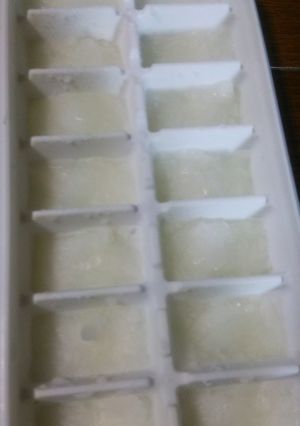 冷凍も簡単離乳食☆ご飯で1０倍がゆ-レシピのメイン写真