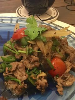 夏!羊肉と茄子ピーマンの香菜クミン炒め-レシピのメイン写真