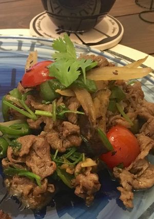 夏!羊肉と茄子ピーマンの香菜クミン炒め-レシピのメイン写真
