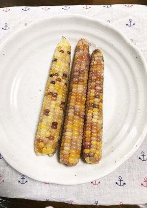 もちとうもろこしの茹で方-レシピのメイン写真