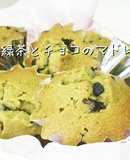 抹茶じゃないよ★粉末緑茶のマドレーヌ★