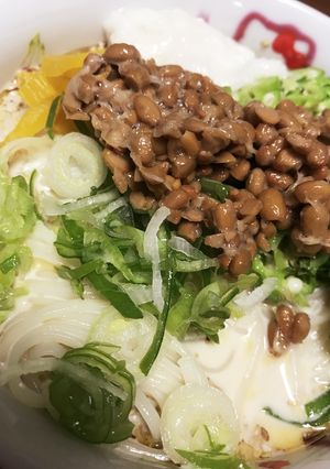 夏にピッタリ！冷やし豆乳ひやむぎ-レシピのメイン写真