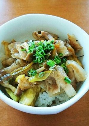 豚バラとなすの蒲焼丼-レシピのメイン写真