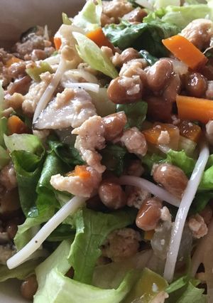 納豆と餃子の具でサラダ蕎麦-レシピのメイン写真