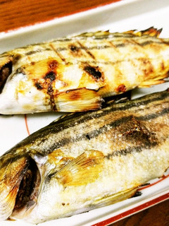 下処理無し!蒸し焼き風♪縞イサキの塩焼き-レシピのメイン写真