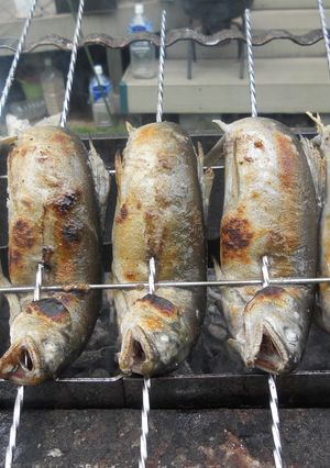 備長炭で炭火焼!!鮎の塩焼き-レシピのメイン写真
